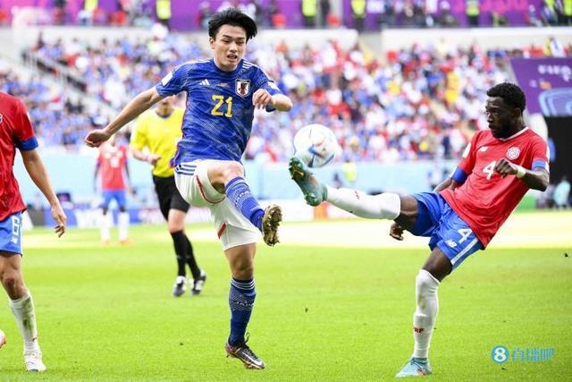 引发了各界 引发了各界