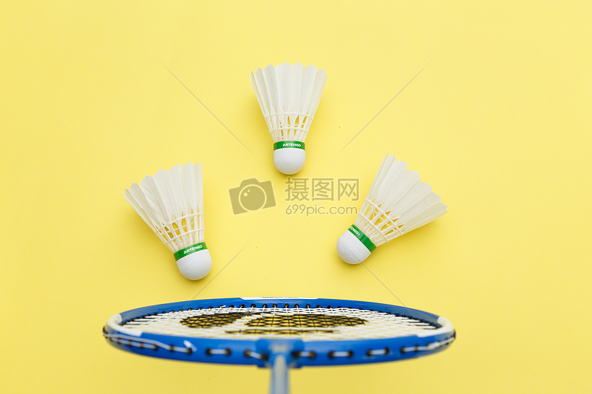 新赛季球迷 新赛季球迷